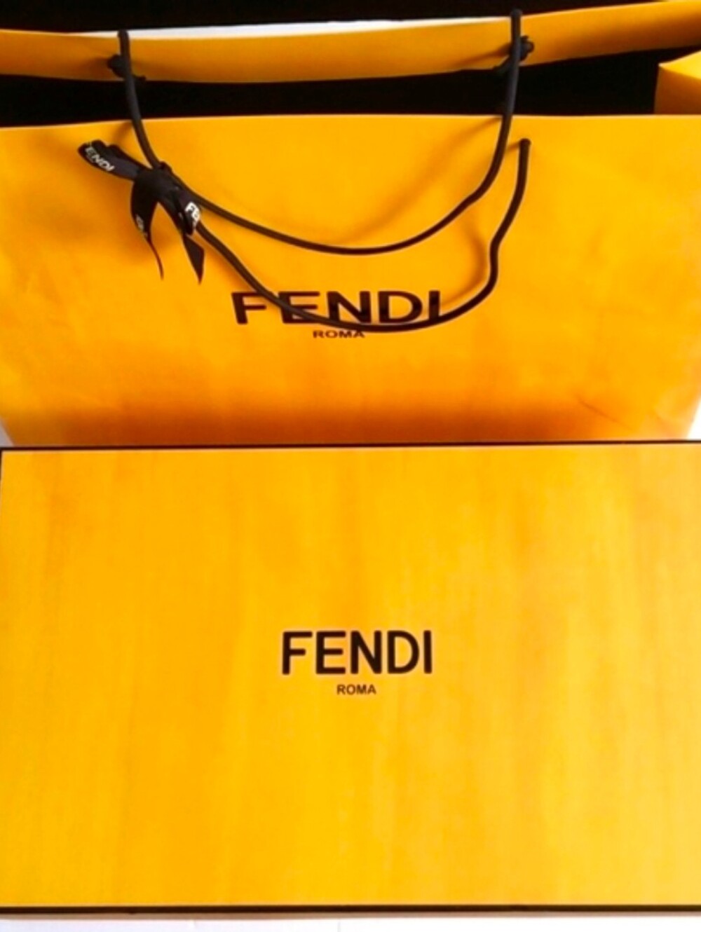 FENDI Roma Luxury Gift Box & Shopping Bag Set – Authentic Boutique Packaging - Picture 2 of 7